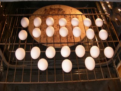 eggs in oven