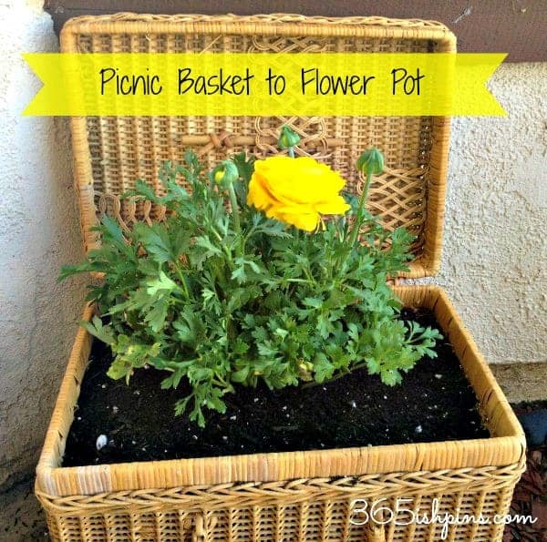 picnic basket to flower pot