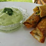 egg rolls and avocado sauce on a plate