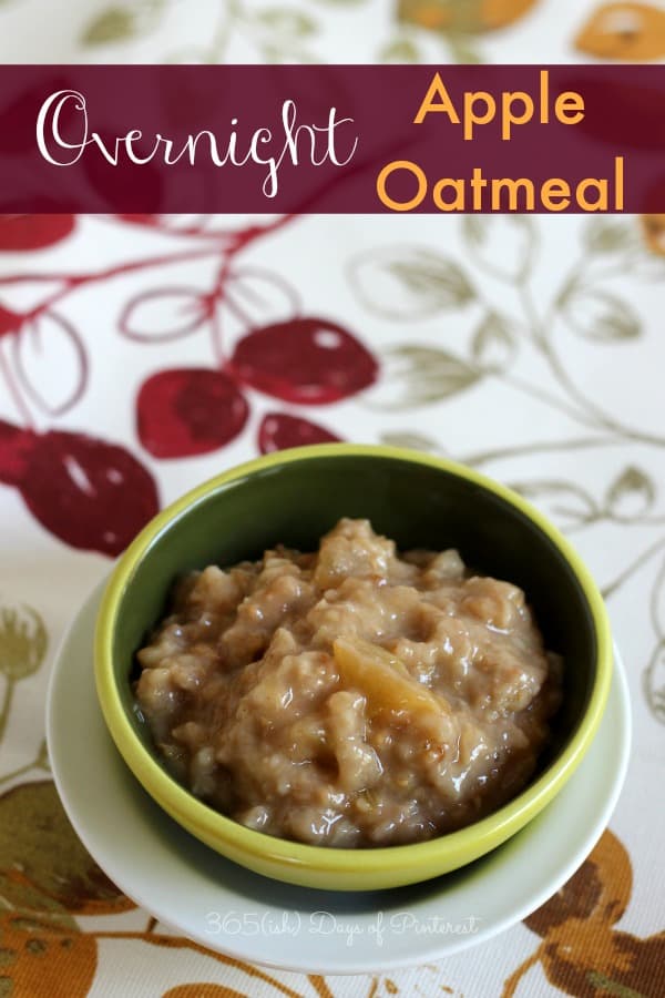 Overnight Slow Cooker Apple Cinnamon Oatmeal - Diary of A Recipe