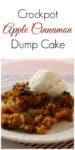 original image of crockpot apple cinnamon dump cake for pinterest