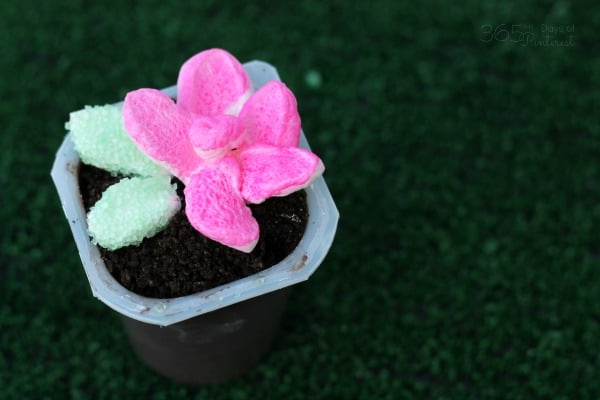 easy marshmallow flower