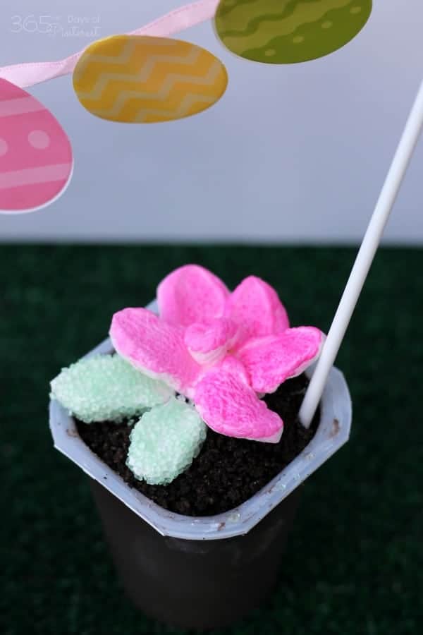 marshmallow flower