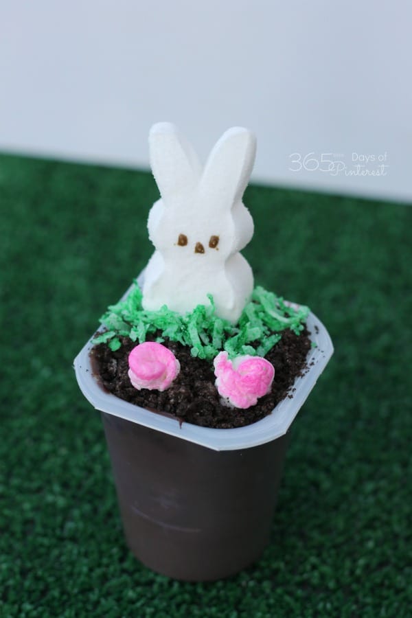 marshmallow flower garden