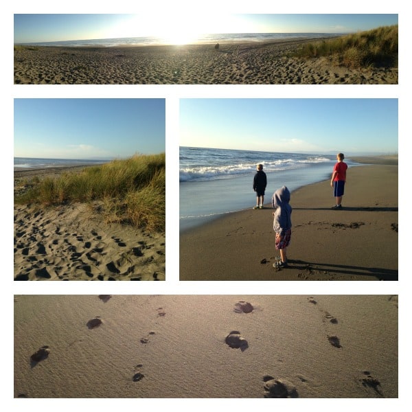 Eureka beach collage