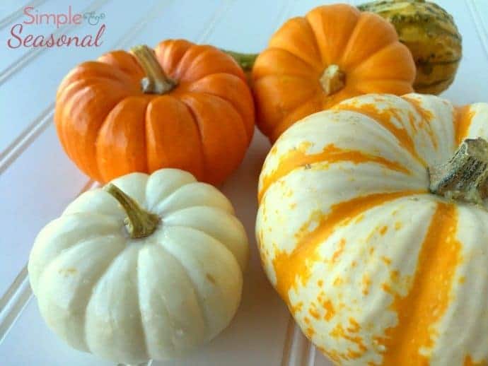 How to Preserve Pumpkins and Decorative Gourds