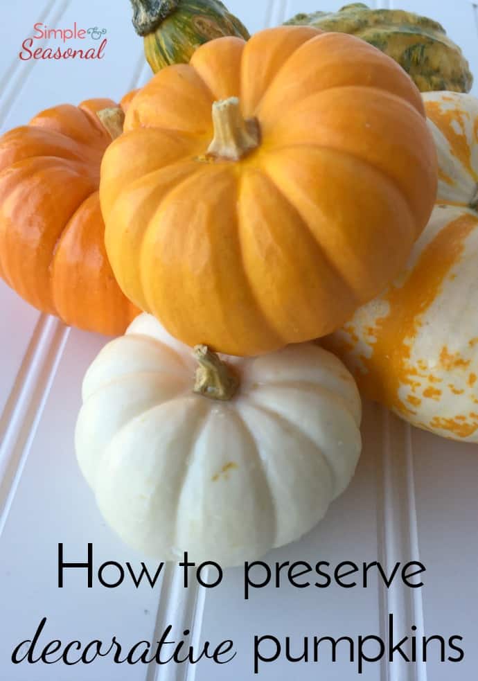 Make sure your pumpkins and gourds last all season long with this simple trick! via @nmburk