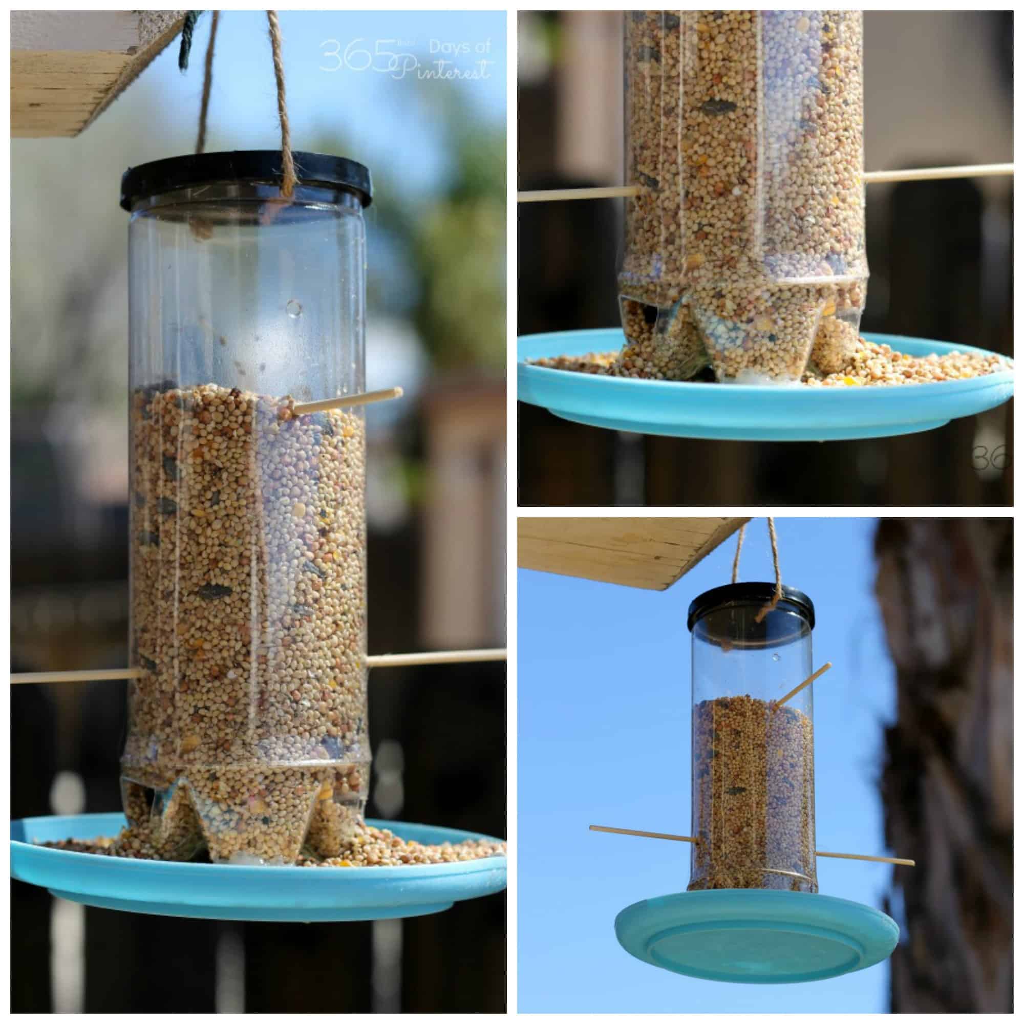 collage image of home made bird feeder using an empty tennis ball carton
