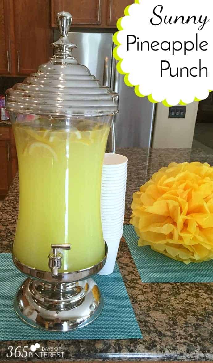 Pink Party Punch that Packs a Punch! - Home With Holly J