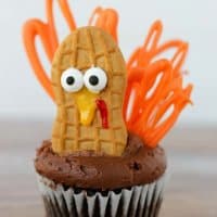 Celebrate Thanksgiving with these adorable little turkey cupcakes! Peanut butter bodies and candy feathers mean you can have turkey for dessert, too. ;)