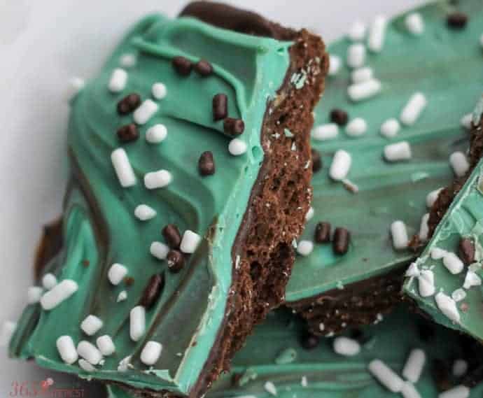 Chocolate Mint Fudge - Princess Pinky Girl