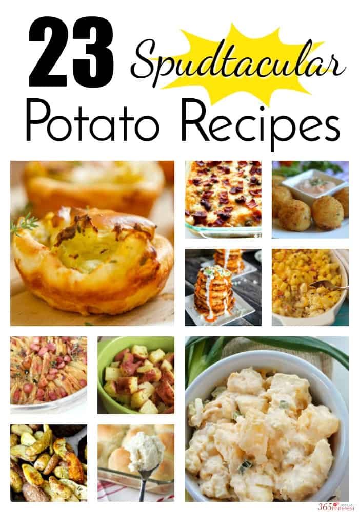 None of these potato recipes are boring. Every one is packed with flavor and I'm sure you'll find something for your holiday menu, picnic, BBQ, or family dinner! via @nmburk