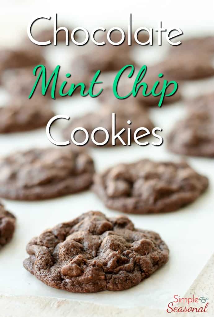 A rich chocolate cookie bursting with mint, these Chocolate Mint Chip Cookies will be the star of any dessert tray. Just add milk! via @nmburk