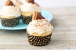 Chocolate and peanut butter come together to make easy, fall-inspired Chocolate Acorn Cupcakes!