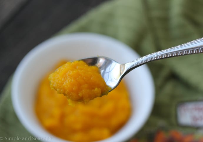 spoonful of pumpkin puree