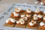 Capture the flavors of the season in these easy Sweet Potato Bites featuring Nutmeg and Cinnamon Triscuit Crackers!