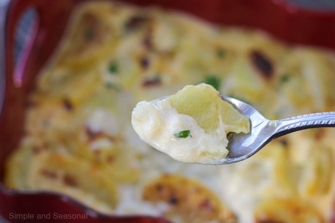 Crockpot Scalloped Potatoes {Easy & Creamy!} –