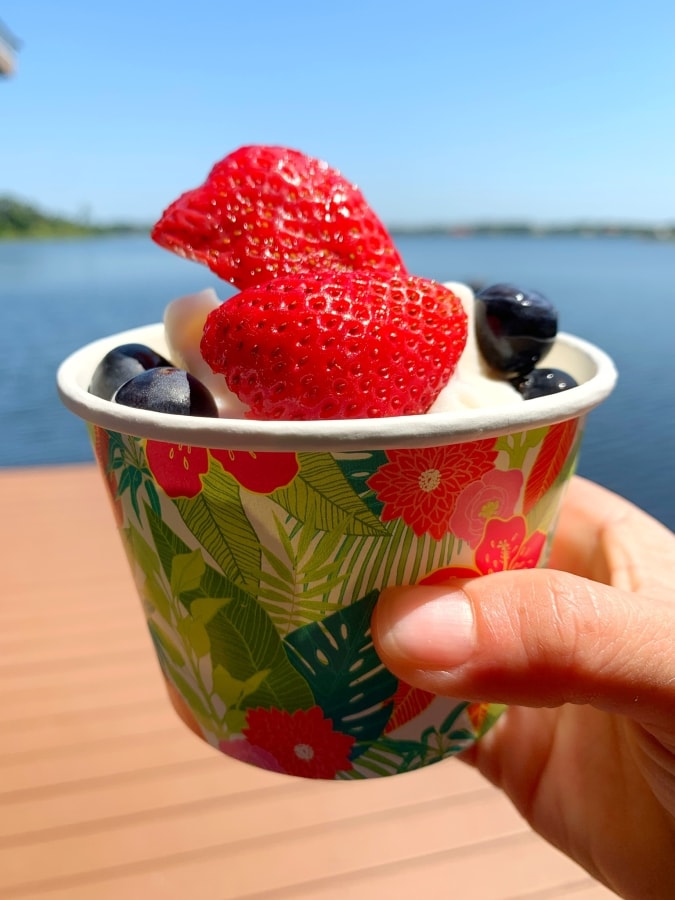 cup of homemade ice cream