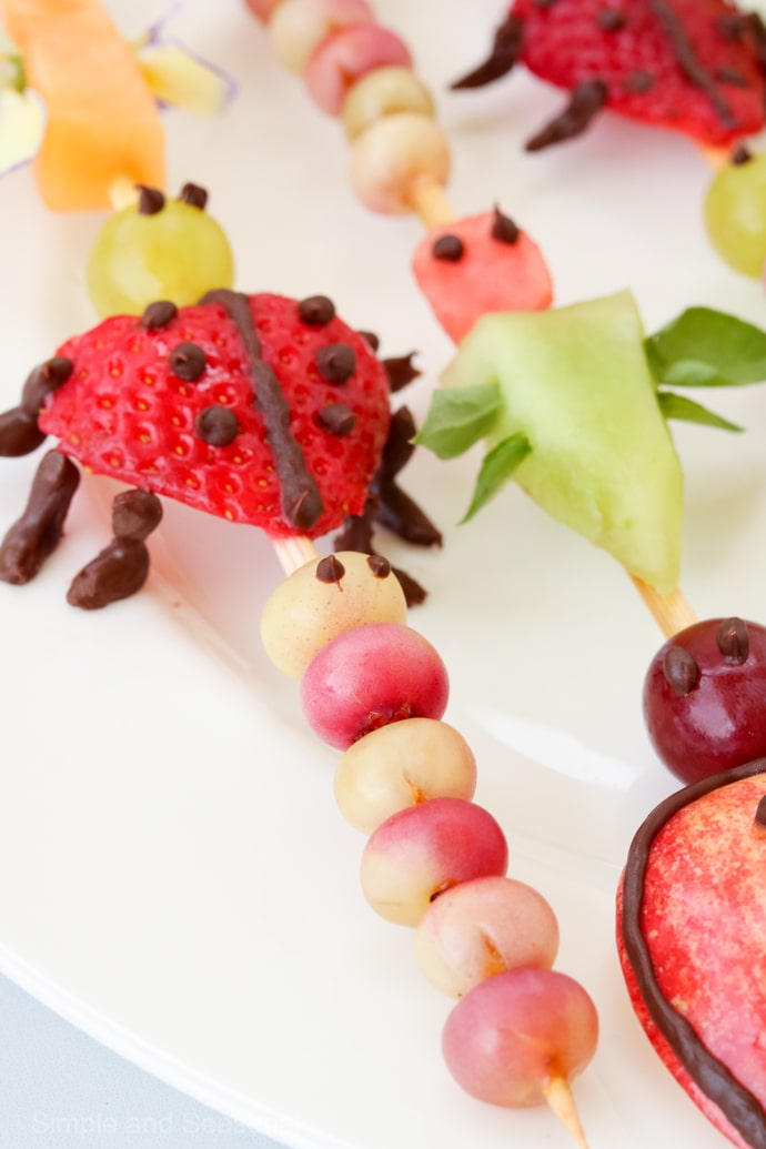 strawberry beetle and blueberry caterpillar