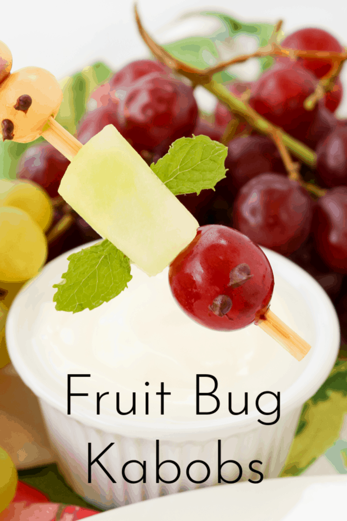 flying insect fruit bug on a skewer with text label reading Fruit Bug Kabobs