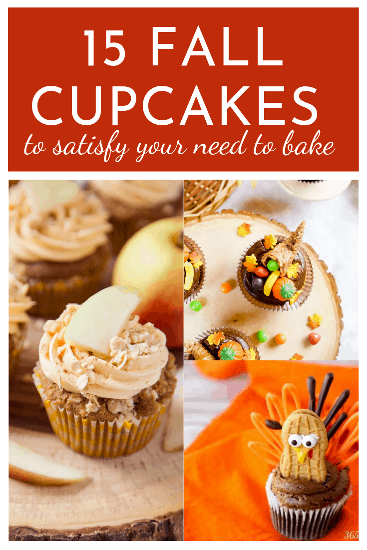 Apples, pumpkins and turkeys, Oh my! This collection of fall cupcakes will keep you happy baking for September, October and November. They are the perfect way to celebrate the season.  via @nmburk