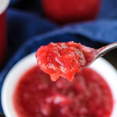 spoonful of cranberry applesauce