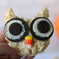 closeup of owl treat