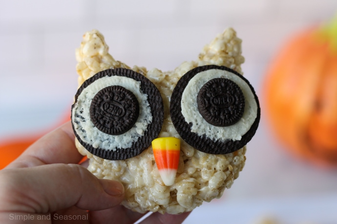 closeup of owl treat