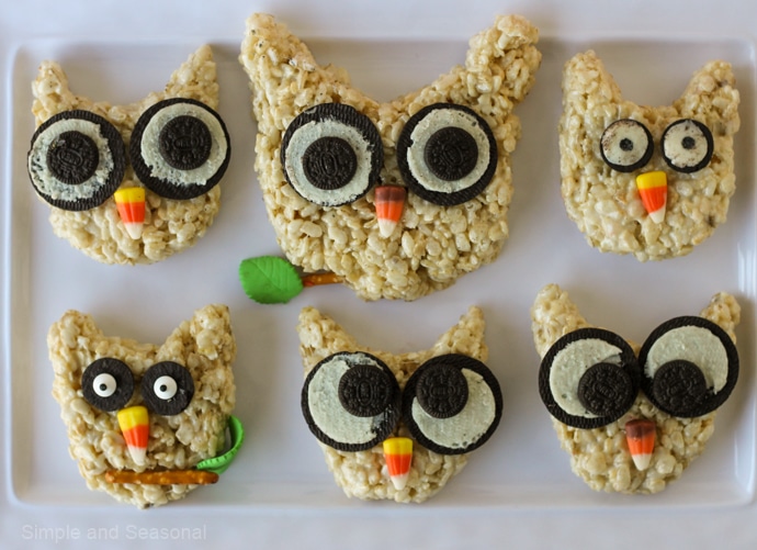 platter of 6 owls with different eye options