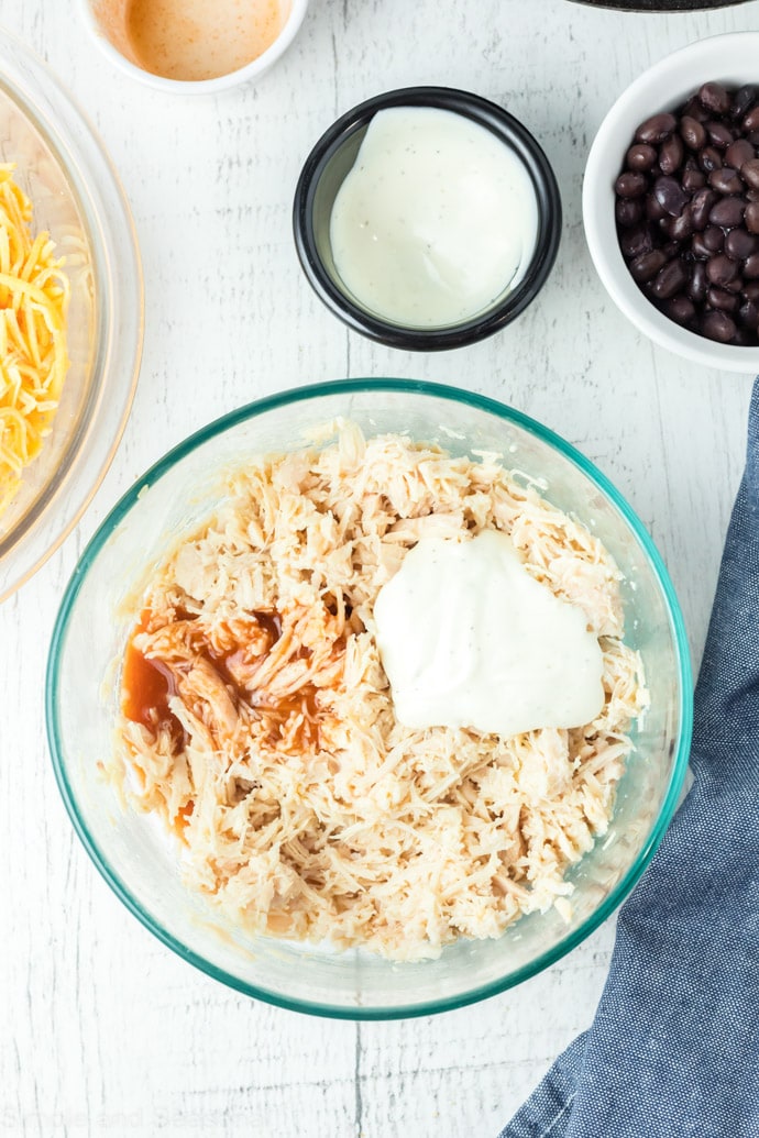 bowl of shredded chicken with sauce added