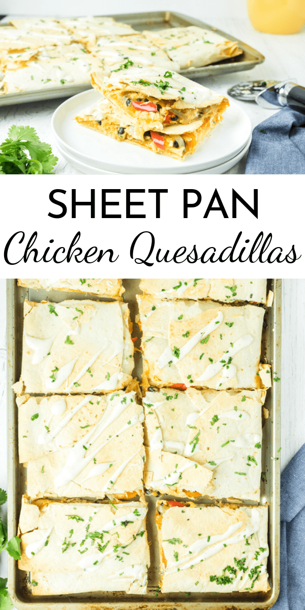 Dinner is ready fast with these Sheet Pan Chicken Quesadillas. Try them Buffalo style or swap in your own favorite flavors! via @nmburk