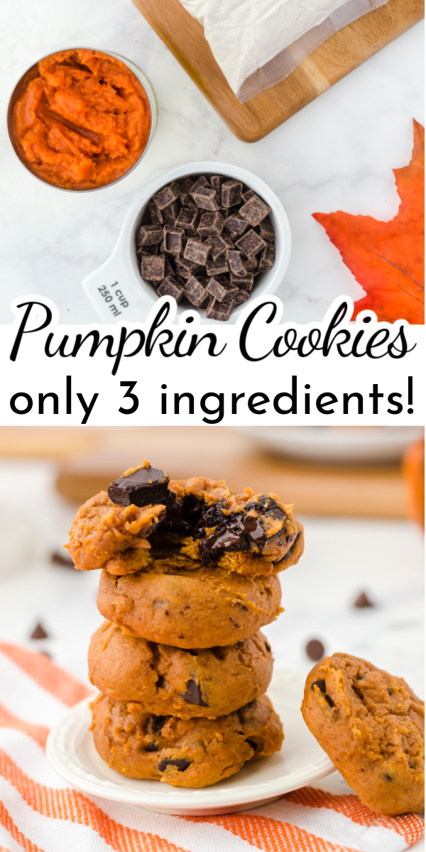 Pumpkin and chocolate combine for an irresistible combination in this moist and chewy cookie recipe. These 3 Ingredient Pumpkin Cookies are perfect for busy days! via @nmburk