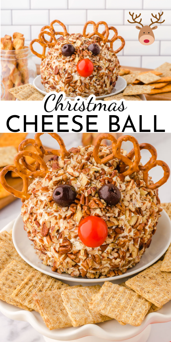 Bring on the party with this easy make ahead Christmas cheese ball. Serve it as is for any occasion or use a few strategically placed items to turn it into Rudolph! via @nmburk