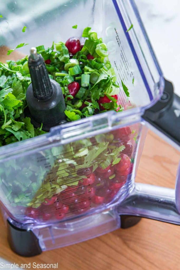 whole cranberries, cilantro, onions and jalapenos in a blender