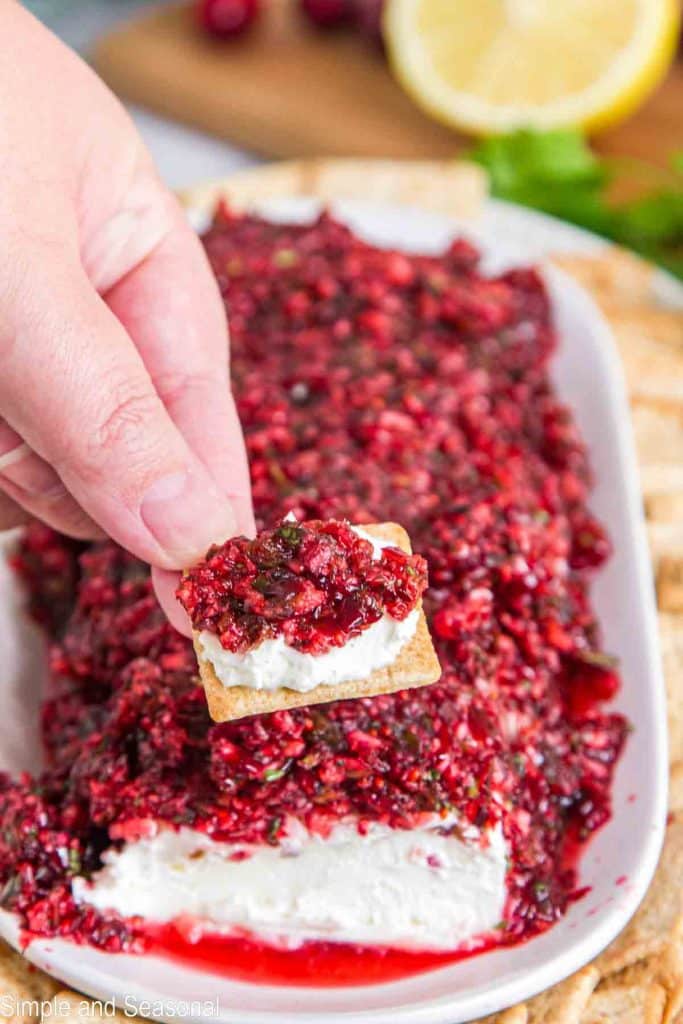 hand holding cracker with cream cheese and cranberry salsa on top