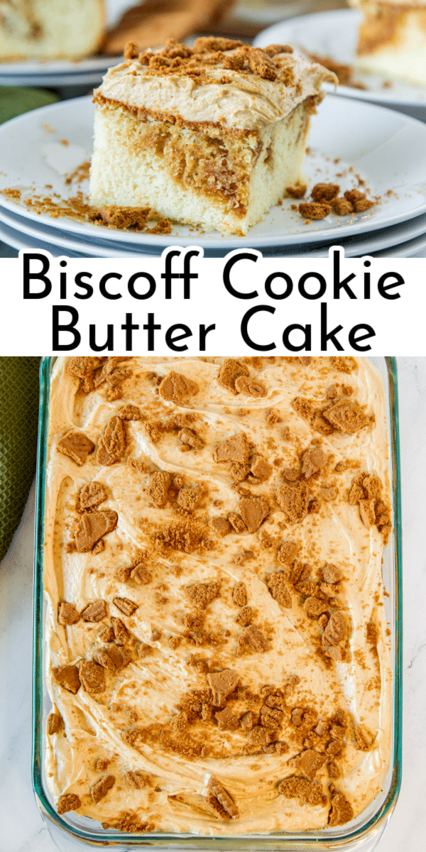This easy 9x13 Biscoff Cake recipe is filled with Biscoff cookie butter spread and topped with creamy homemade Biscoff frosting. via @nmburk