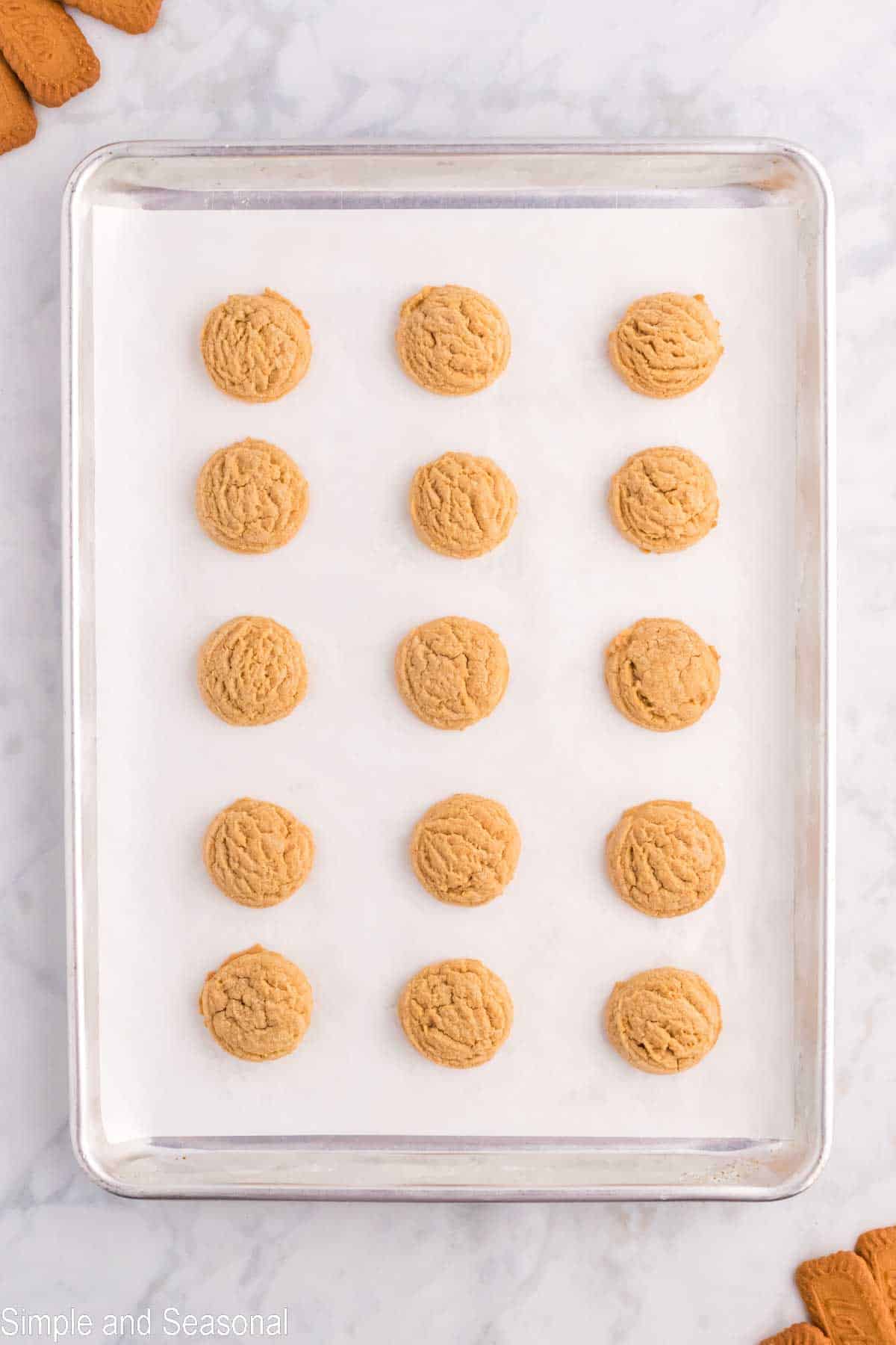 Cookie Butter Cookies - Simple and Seasonal