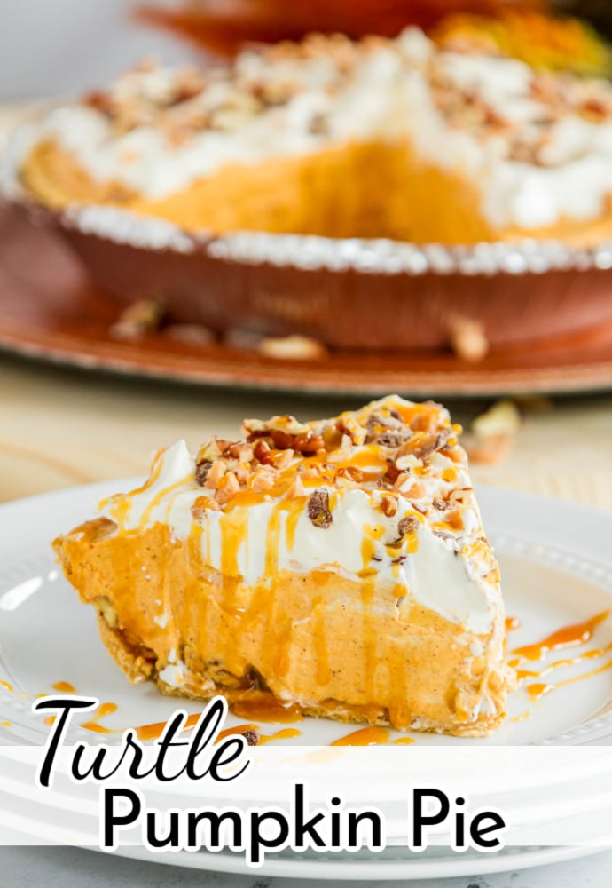 slice of pie on a plate with whole pie in background; text label reads Turtle Pumpkin Pie
