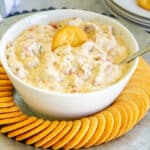 closeup of white bowl filled with cheesy dip sitting on a platter of crackers