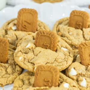 closeup of platter of cookies with white chips and Lotus biscoff cookie biscuits sticking out of the top of each cookie