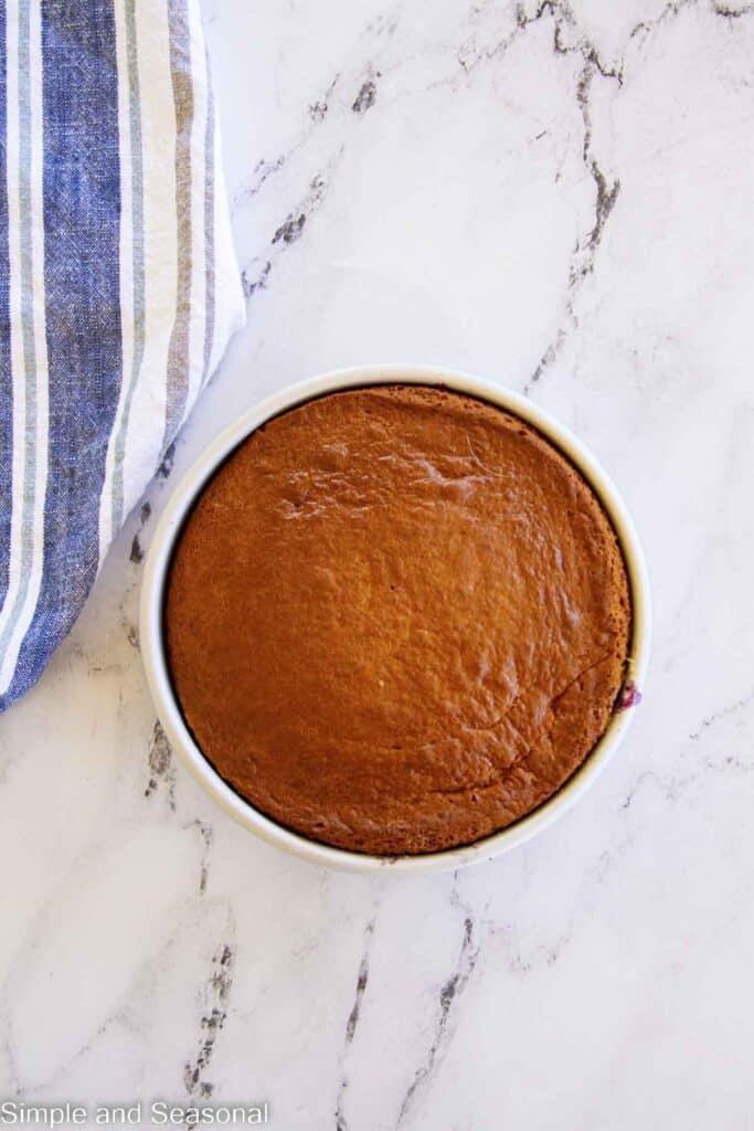 baked cake still in the pan