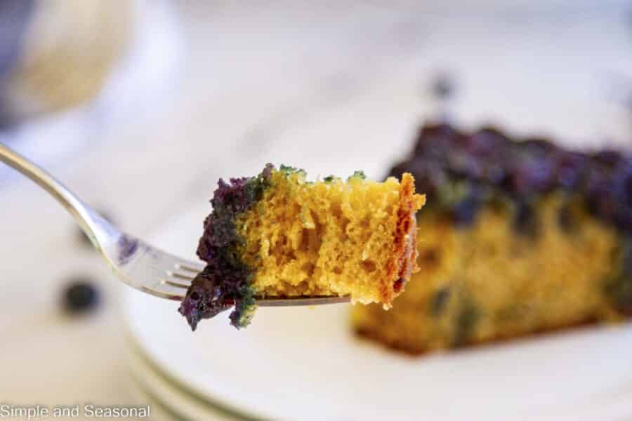 forkful of blueberry cake